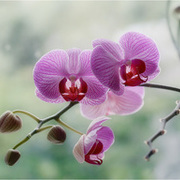 Thumb img 30be8430f2
