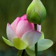 Thumb img 01c4cd6344