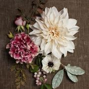 Thumb img 3370616341