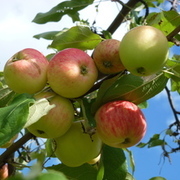 Thumb img 363f341843