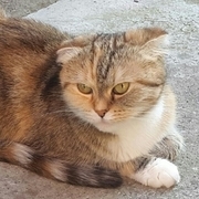 Thumb img 5c63001387