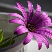 Thumb img 49efc12ff8