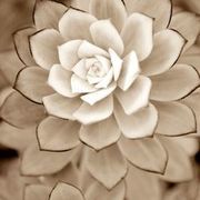 Thumb img 363f9af12c