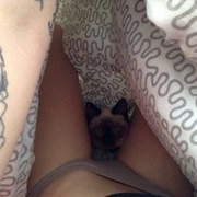 Thumb img 51d29dd863
