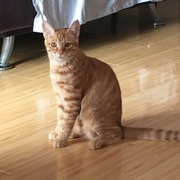 Thumb img 57f64b6748
