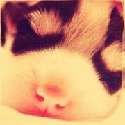 Thumb img beb378050e