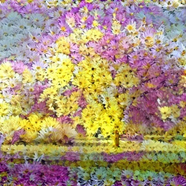 Thumb img19557 183f1b2d73b6b3f3