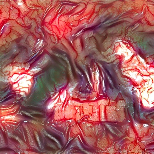 Thumb img926308 c39e18783b99fe61