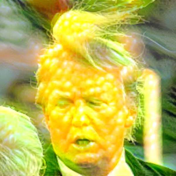Thumb img928742 2c0f83862fa01161