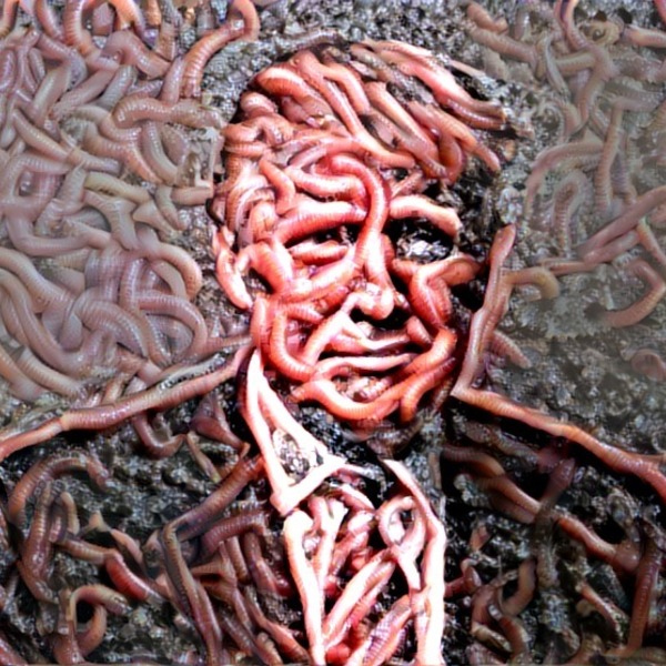 Thumb img1045300 76adaebb89ca35b9