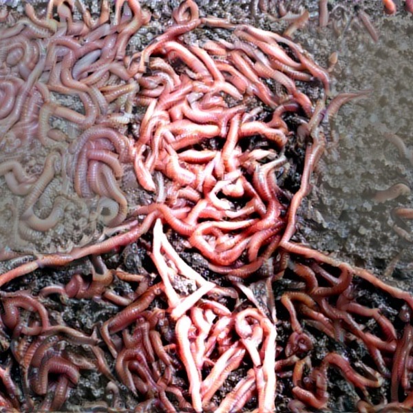 Thumb img1045314 b926054088c1f653