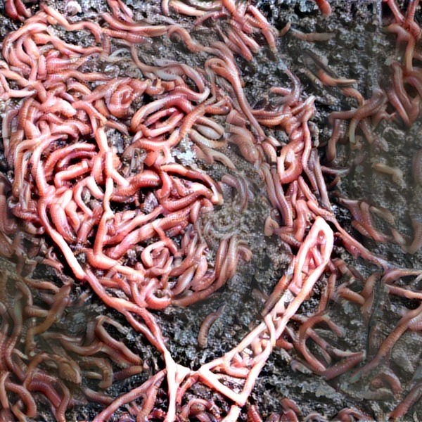 Thumb img1045637 12623f8b3d2927a5