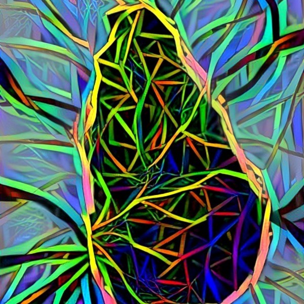 Thumb img1076046 2966b2b58ea71e6f