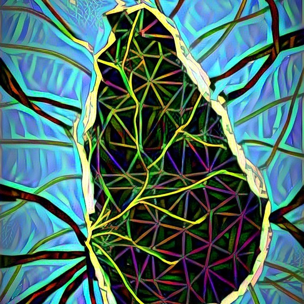 Thumb img1076326 422b3e5aa438138b