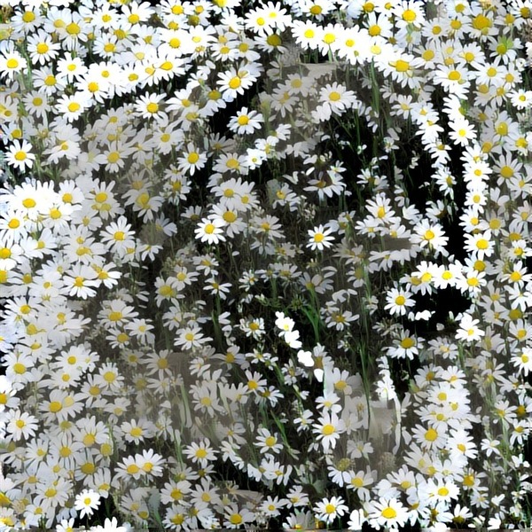 Thumb img1571913 c0154ffcc9af568e