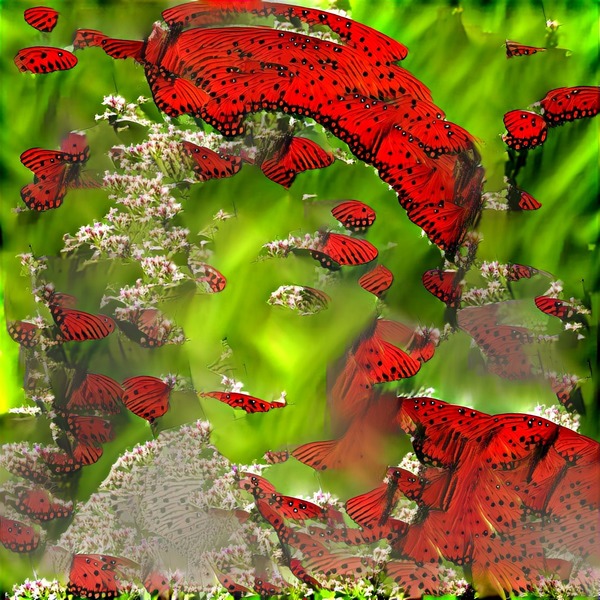 Thumb img1787762 cb078c752ae8505f