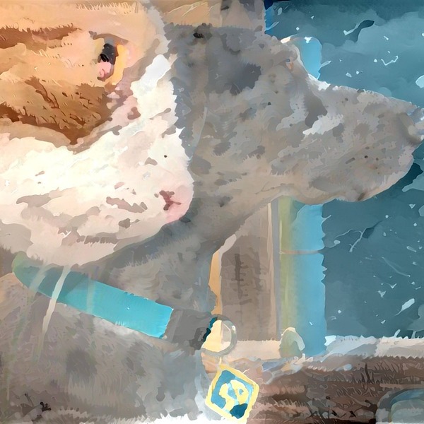 Thumb img1923995 41e70a0eae43edcf