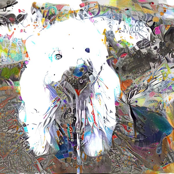 Thumb img1970627 9208c82a967957f5