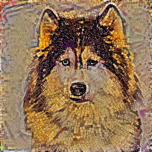 Thumb img2389710 055b7792dd289d92
