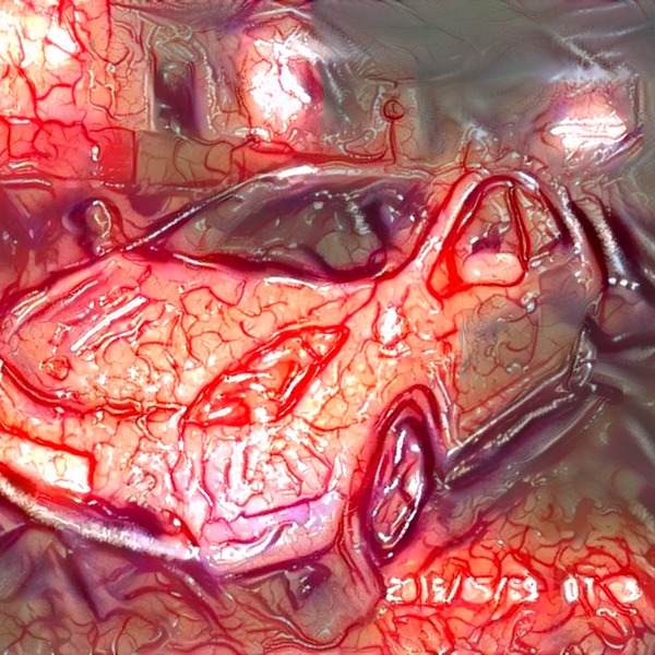 Thumb img2646607 96e4d4e949410723