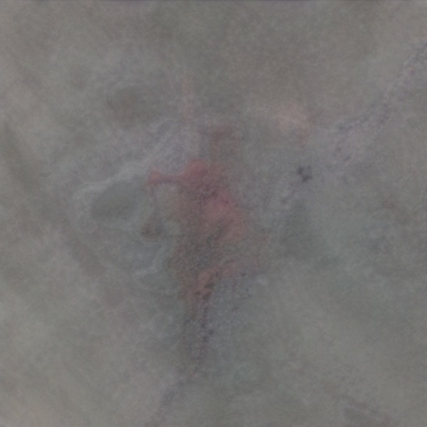 Thumb img2980749 8b10e55aa41ad056
