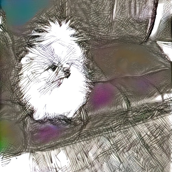Thumb img3005744 b2c46cbe7780ae0d