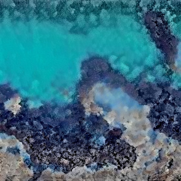 Thumb img4299685 56fb616ebd233d5e
