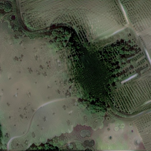 Thumb img4669270 d3c0cf0c6620072b