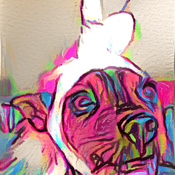 Thumb img5175619 b0e4e9d045edefd2