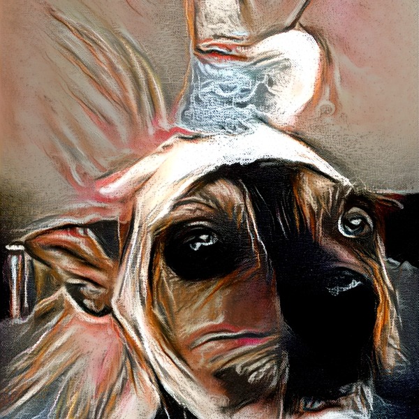 Thumb img5253582 1f69f1aacb326288