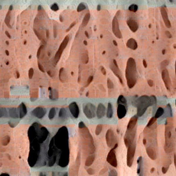 Thumb img5341727 27dff2d34a356f9e