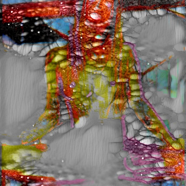 Thumb img5357738 41302831ef2074d0
