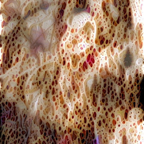 Thumb img5579111 f96c6a8e669793da
