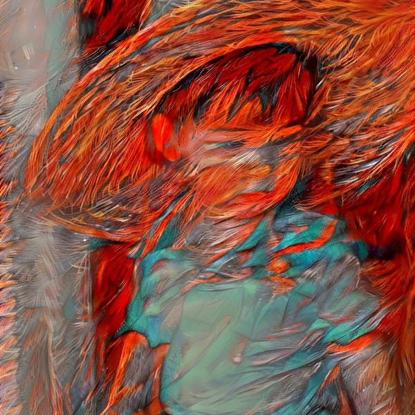 Thumb img5603391 c2f88c09d095b7e8