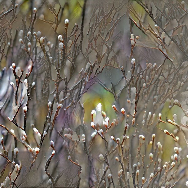 Thumb img5675303 6101c7654a271ff4