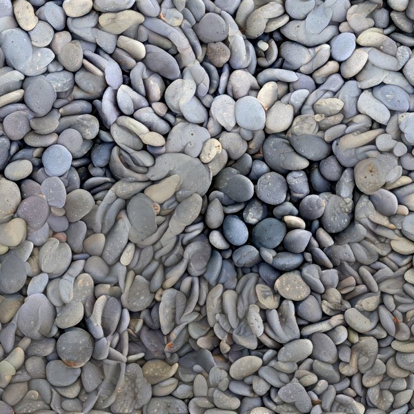 Thumb img5703339 f9ddbafb725cc00f