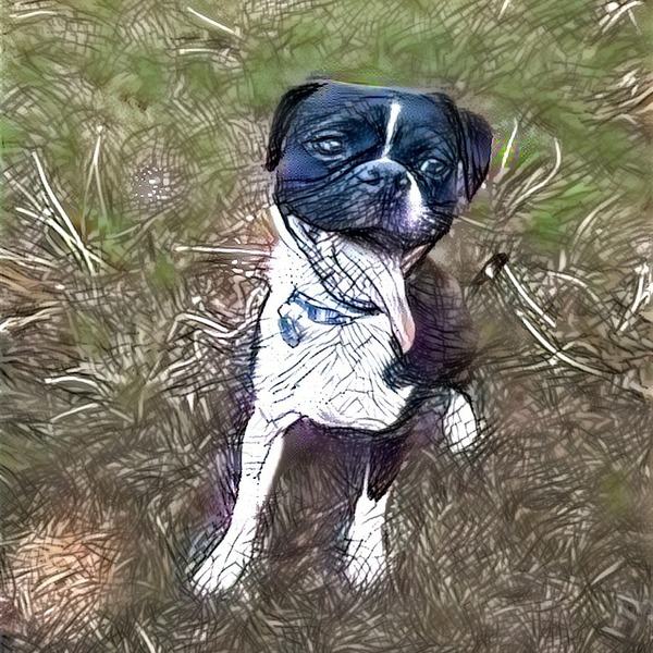 Thumb img155806 ef668297ec3641a1