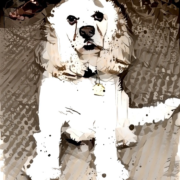 Thumb img5788778 8df90ca21c446fe4