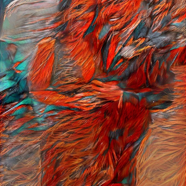 Thumb img5797375 adec71b85de7881b