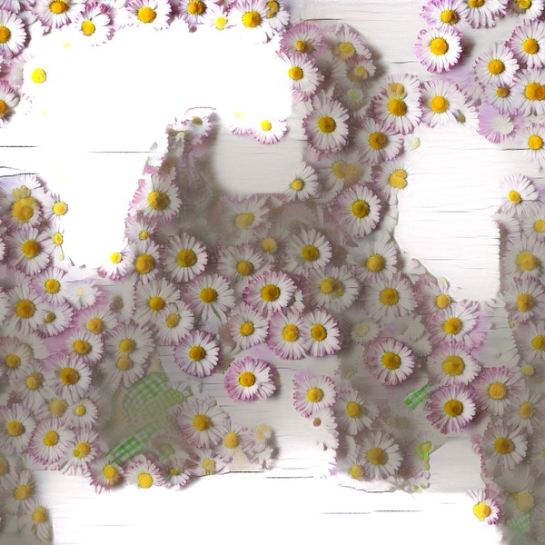 Thumb img5868702 d1f02fe8fc166793