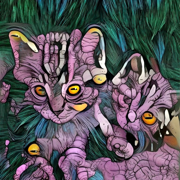 Thumb img6012004 bda8df6e0a01d120