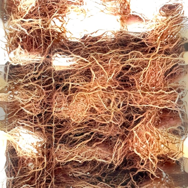 Thumb img6583106 0ed6f16f9ff2f4ff