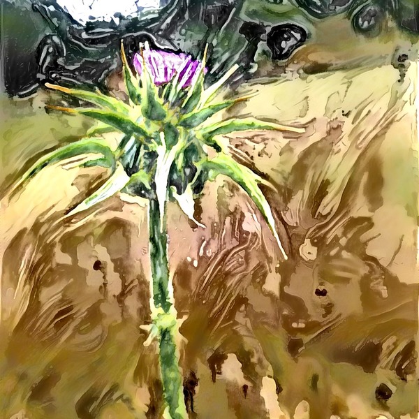 Thumb img6785820 775fff79b537b71a