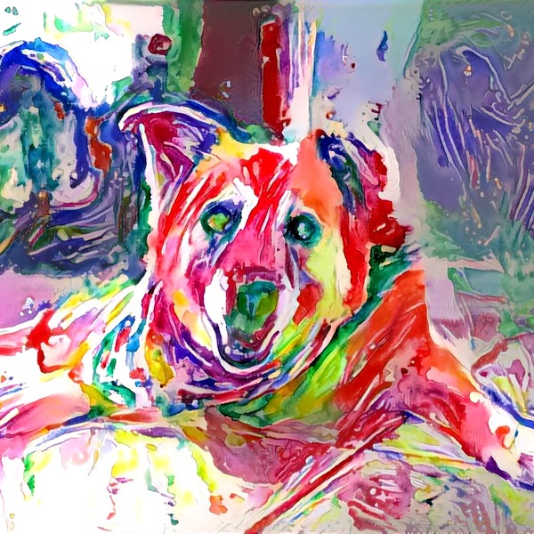 Thumb img7052254 41b19e0be9e2451b