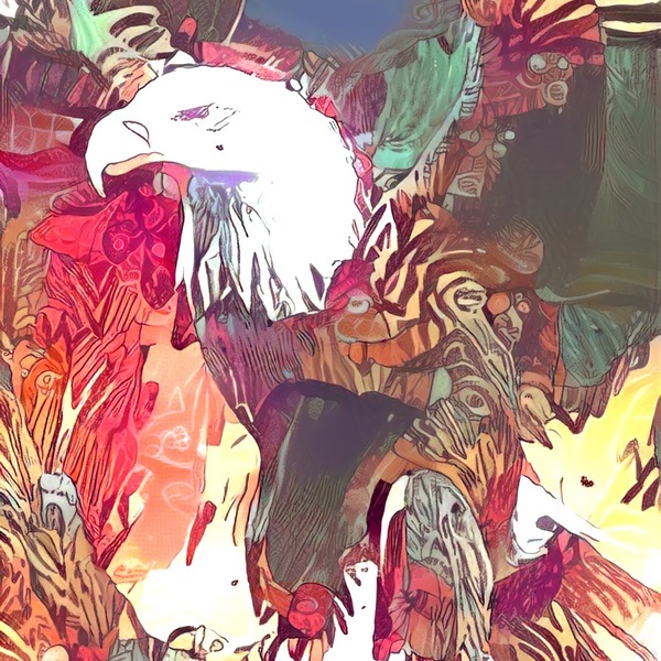 Thumb img7362853 5491f051d3d23aac
