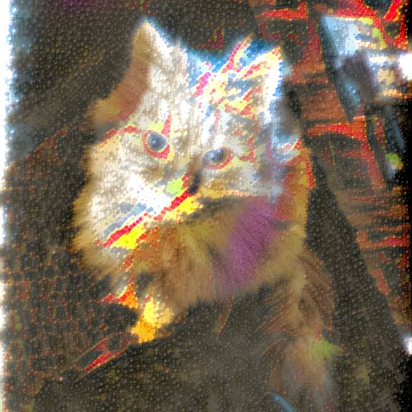 Thumb img7366699 df9e2a40bf6725c2