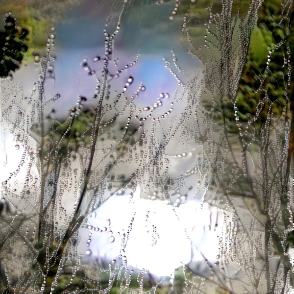 Thumb img7411630 44f5c2d5d783b4fc