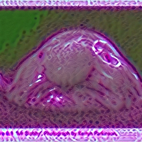 Thumb img7447292 62dc6820abd21463