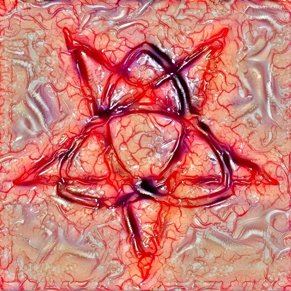 Thumb img7460419 f7e6bb27037248e4