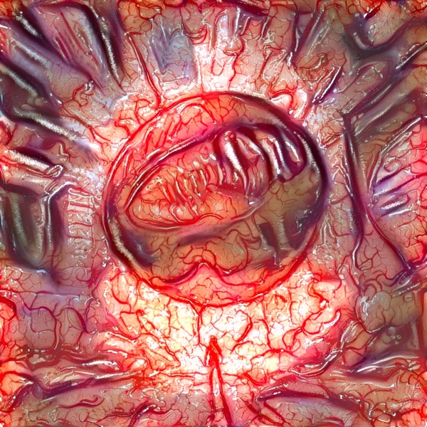 Thumb img7463788 d56fd341bd5a00f7